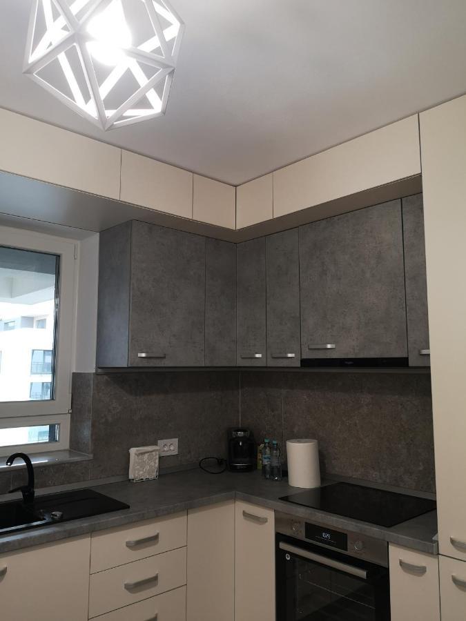 Grey House Residence ブラショフ エクステリア 写真